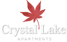 the graphic of a red leaf with the words cloudylake apartments