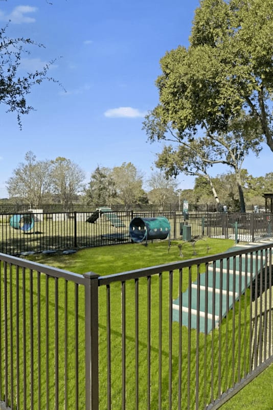 Dog Park at Latitude 2976, Texas