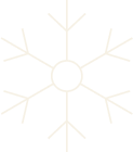 A white snowflake on a black background.