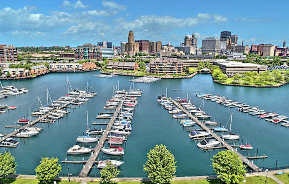 a marina with a city in the background