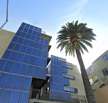 A tall building with blue panels and a palm tree in front of it.