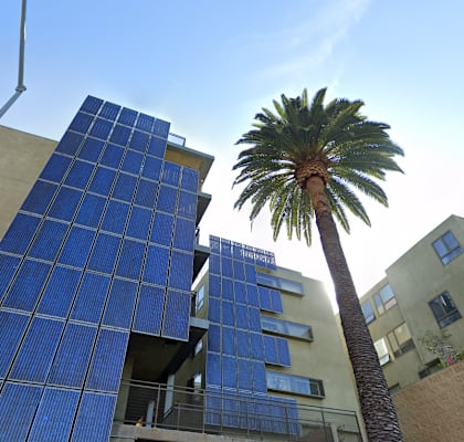 A tall building with blue panels and a palm tree in front of it.