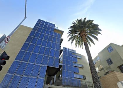 A tall building with blue panels and a palm tree in front of it.