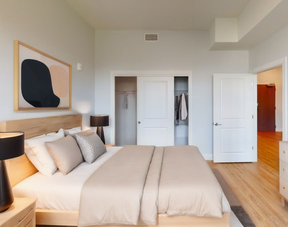 a bedroom with a bed and a dresser and a closet