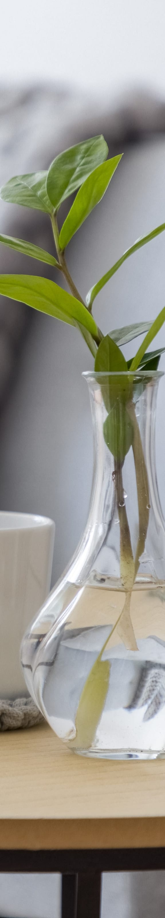 a vase with a plant in it on a table