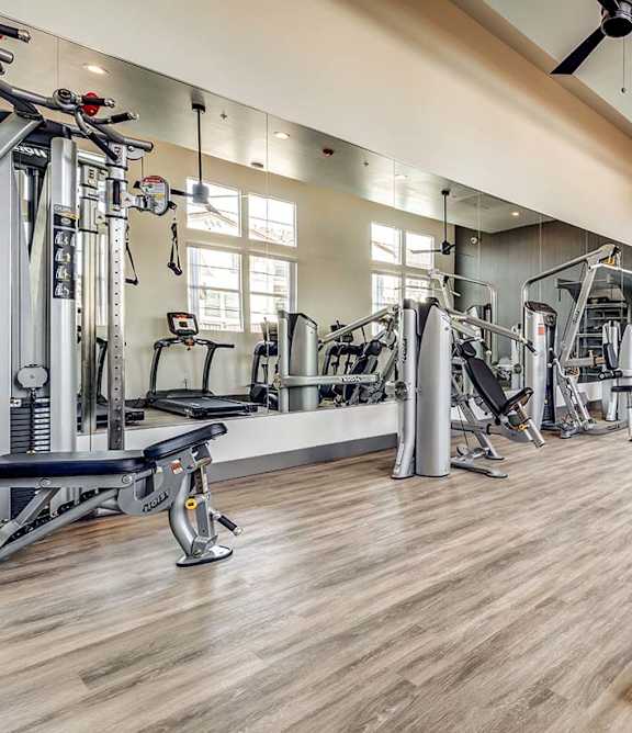 A gym with a variety of equipment including treadmills, weights, and a fan.