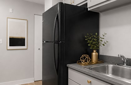 A black refrigerator stands next to a sink in a kitchen.