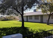 Thumbnail 9 of 9 - the backyard of a house with a lawn and trees