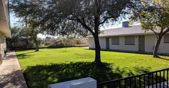 the backyard of a house with a lawn and trees