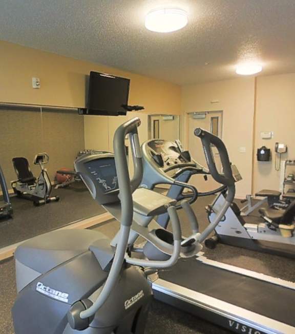 Alt Text: A gym with a treadmill, elliptical machines, and weights.