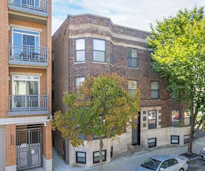A tree with yellow leaves is in front of a brick building.