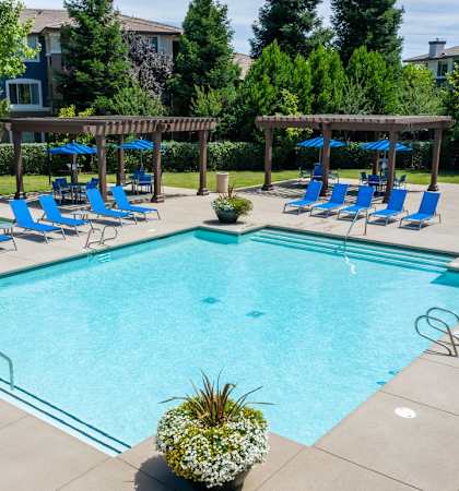 community pool and lounge chairs