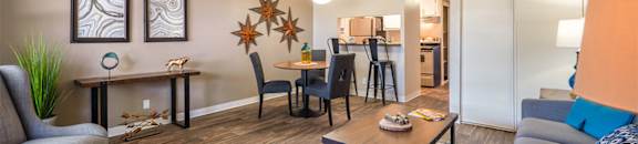 Furnished Model