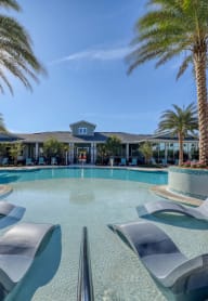 a resort style swimming pool with chaise lounge chairs and palm trees