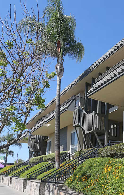 A building with a balcony and a tree in front of it.