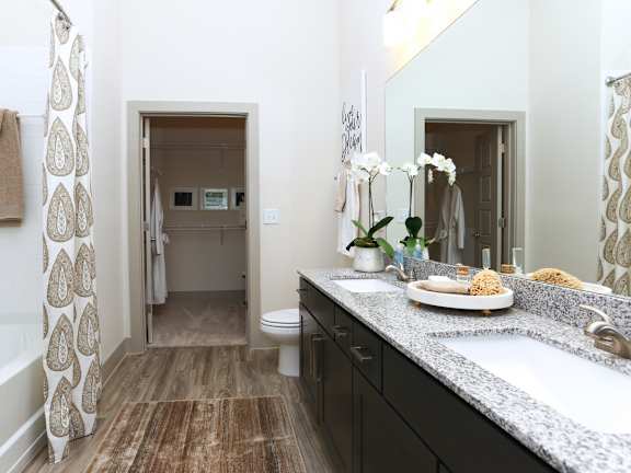Apartment bathroom with hardwood-style flooring, granite countertops, and walk-in closet.