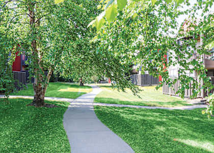 A tree-lined walkway in a park.
