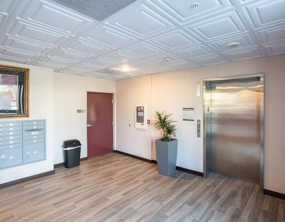 a lift lobby with a metal door and a plant in the corner