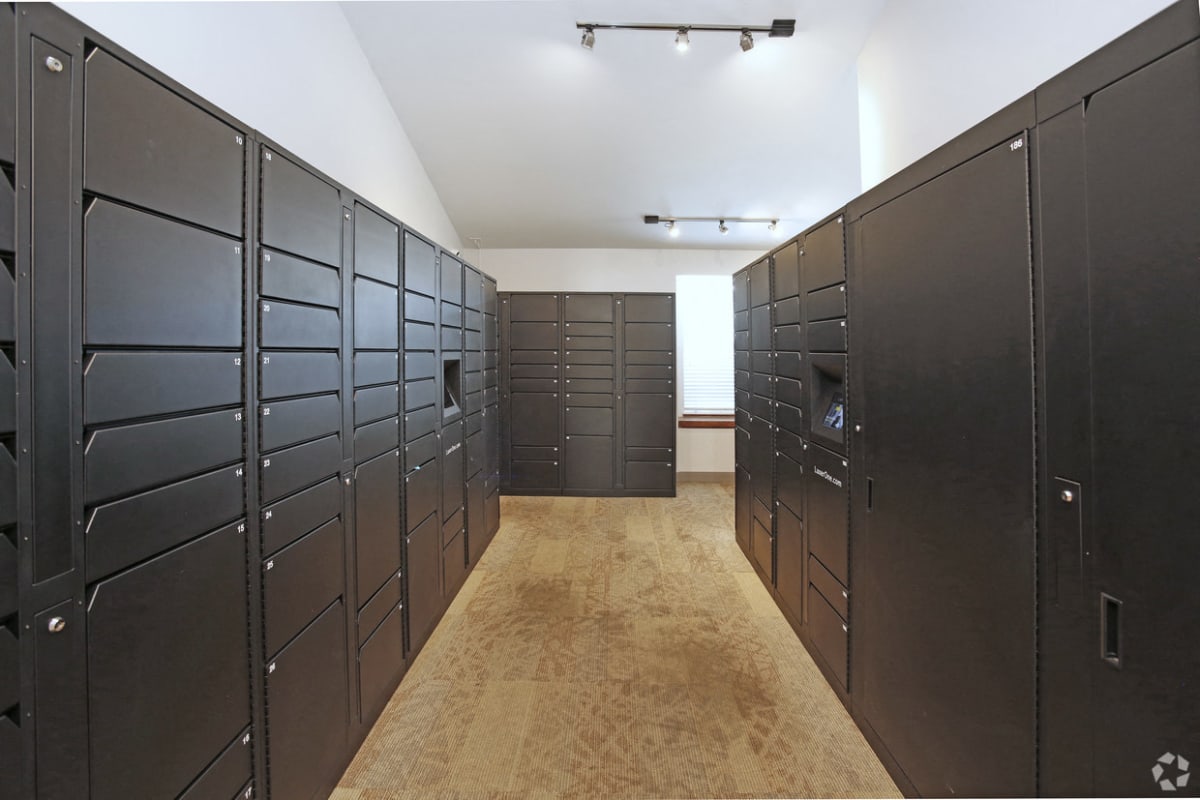 Photos and Video of Savannah Trace Apartments in Schaumburg, IL