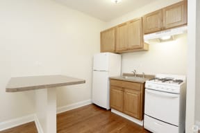 400 sq ft Studio Kitchen