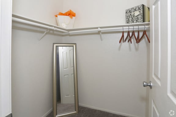 Walk in closet with mirror