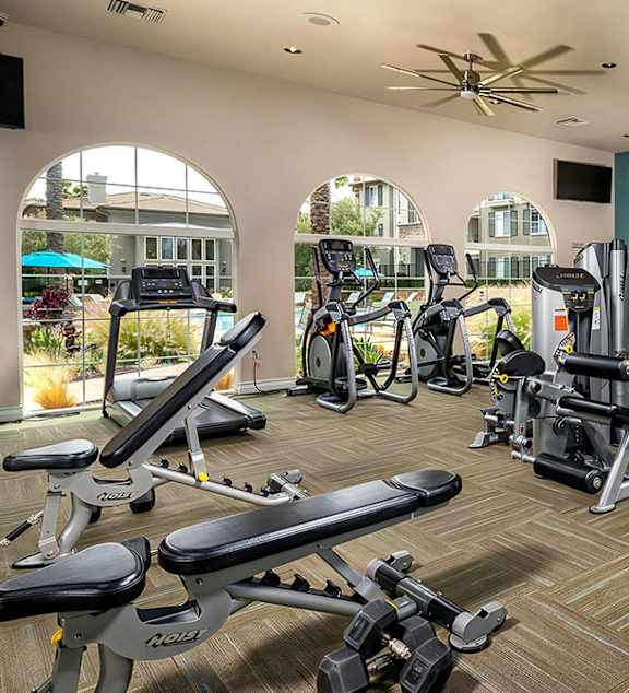 24 Hour Fitness Center