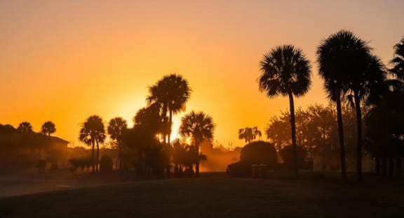 Sunrise Over A Golf Course