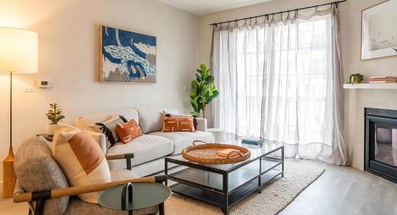 Living Rooms with Plenty of Natural Light