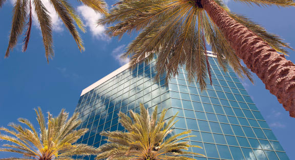 Downtown Ft Lauderdale
