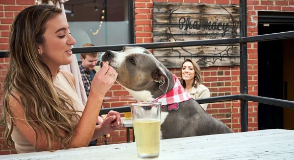 Take your pets to the outdoor areas at the local Pharmacy Bottle + Beverage near Novel Cary