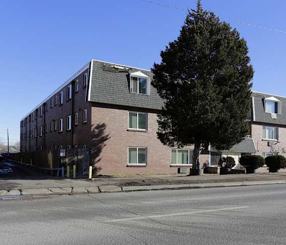 A large tree is in front of a two-story brick building.
