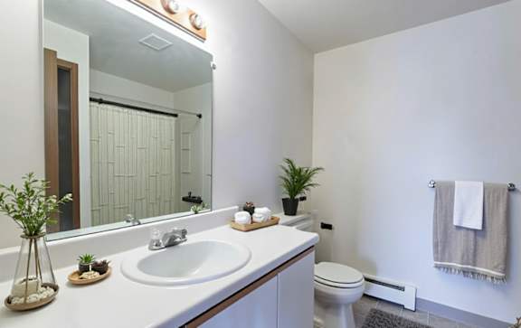A white bathroom with a sink, mirror, toilet, and a plant.