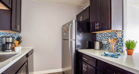 Kitchen Appliances at Woodland Ridge Apartments, Woodridge, IL, 60517