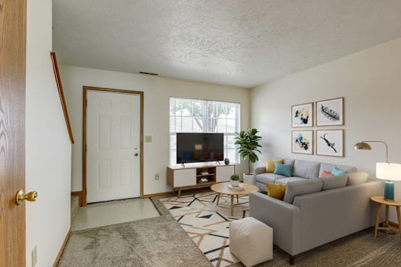A living room with a grey couch, a coffee table, a rug, and a TV.