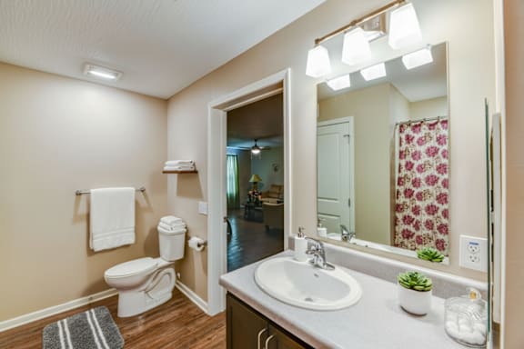 A bathroom with a toilet, sink, and mirror.