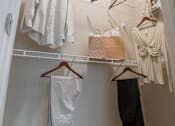 Thumbnail 16 of 54 - Large Closet at Palms at Magnolia Park in Riverview, FL