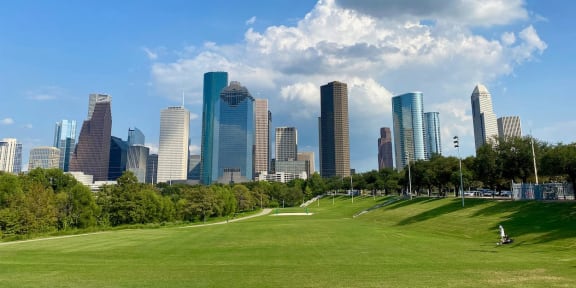 a park with the city skyline in the background