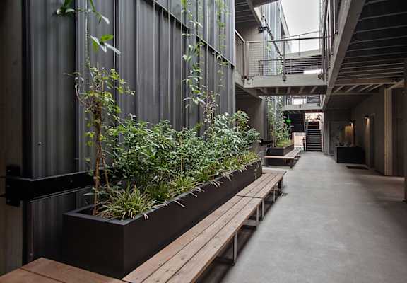 A long row of planters with green plants in them.