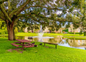 Thumbnail 24 of 27 - Picnic Area at Laurel Oaks Apartments in Tampa, FL