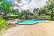 Thumbnail 19 of 27 - Swimming Pool at Laurel Oaks Apartments in Tampa, FL