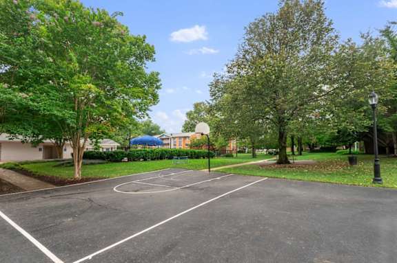 A basketball court surrounded by trees and a street light.