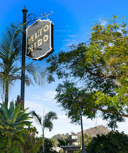 a sign on a pole in front of trees and plants