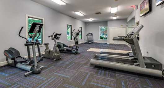 A gym with treadmills, elliptical machines, and a stationary bike.