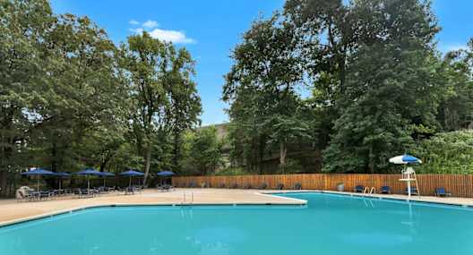 A large swimming pool surrounded by trees and a wooden fence.