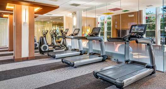 A gym with treadmills and elliptical machines.