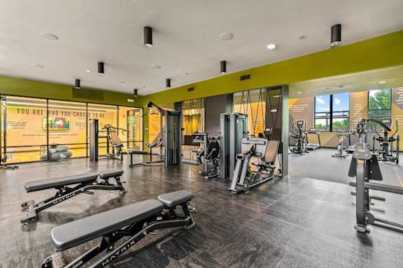 A gym with a variety of equipment including treadmills, weights, and benches.