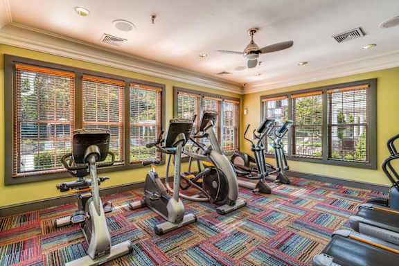 A gym with a variety of exercise equipment including treadmills, stationary bikes, and elliptical machines.