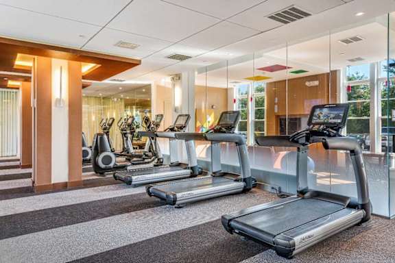 A gym with treadmills and elliptical machines.