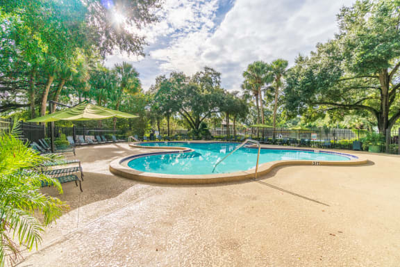 Swimming Pool at Laurel Oaks Apartments in Tampa, FL