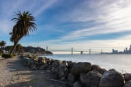 Morning view at Marine View Apartments, Alameda, CA
